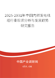 2025-2031年中國內燃發電機組行業現狀分析與發展趨勢研究報告 2025-2031年中國內燃發電機組行業現狀分析與發展趨勢研究報告