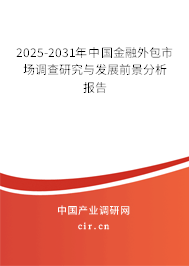 2025-2031年中國金融外包市場調查研究與發展前景分析報告 2025-2031年中國金融外包市場調查研究與發展前景分析報告