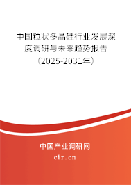 中國粒狀多晶硅行業發展深度調研與未來趨勢報告(2025-2031年) 中國粒狀多晶硅行業發展深度調研與未來趨勢報告(2025-2031年)