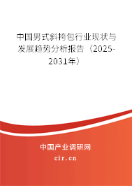 中國男式斜挎包行業現狀與發展趨勢分析報告(2025-2031年) 中國男式斜挎包行業現狀與發展趨勢分析報告(2025-2031年)