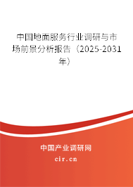 中國地面服務行業調研與市場前景分析報告(2025-2031年) 中國地面服務行業調研與市場前景分析報告(2025-2031年)