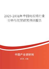 2025-2031年中國電視墻行業分析與前景趨勢預測報告