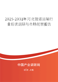 2025-2031年河北管道運輸行業現狀調研與市場前景報告 2025-2031年河北管道運輸行業現狀調研與市場前景報告