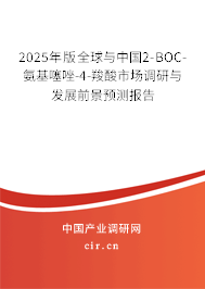 2025年版全球與中國2-BOC-氨基噻唑-4-羧酸市場調研與發展前景預測報告 2025年版全球與中國2-BOC-氨基噻唑-4-羧酸市場調研與發展前景預測報告