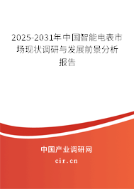 2025-2031年中國智能電表市場現狀調研與發展前景分析報告