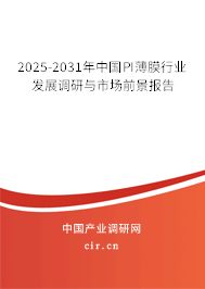 2025-2031年中國PI薄膜行業發展調研與市場前景報告