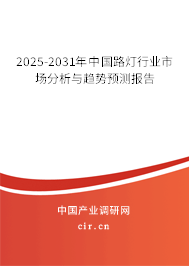 2025-2031年中國路燈行業市場分析與趨勢預測報告 2025-2031年中國路燈行業市場分析與趨勢預測報告