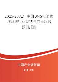 2025-2031年中國BMS電池管理系統行業現狀與前景趨勢預測報告 2025-2031年中國BMS電池管理系統行業現狀與前景趨勢預測報告