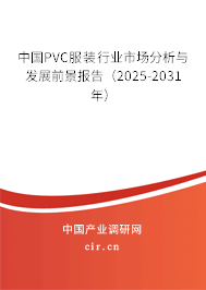 中國PVC服裝行業市場分析與發展前景報告(2025-2031年) 中國PVC服裝行業市場分析與發展前景報告(2025-2031年)