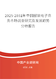 2025-2031年中國服裝電子商務市場調查研究及發展趨勢分析報告