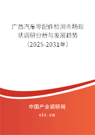 廣西汽車零配件檢測市場現狀調研分析與發展趨勢（2025-2031年）