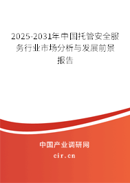 2025-2031年中國托管安全服務行業市場分析與發展前景報告 2025-2031年中國托管安全服務行業市場分析與發展前景報告