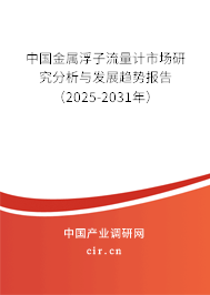 中國金屬浮子流量計市場研究分析與發展趨勢報告(2024-2030年) 中國金屬浮子流量計市場研究分析與發展趨勢報告(2024-2030年)