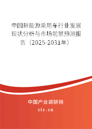 中國新能源乘用車行業發展現狀分析與市場前景預測報告(2025-2031年) 中國新能源乘用車行業發展現狀分析與市場前景預測報告(2025-2031年)