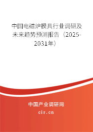 中國電磁爐模具行業(yè)調(diào)研及未來趨勢預(yù)測報告(2025-2031年) 中國電磁爐模具行業(yè)調(diào)研及未來趨勢預(yù)測報告(2025-2031年)