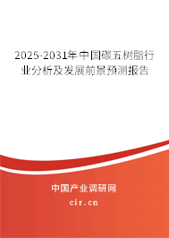 2025-2031年中國碳五樹脂行業(yè)分析及發(fā)展前景預(yù)測(cè)報(bào)告