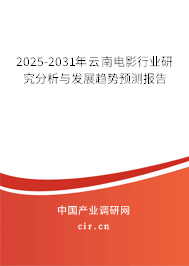 2025-2031年云南電影行業研究分析與發展趨勢預測報告 2025-2031年云南電影行業研究分析與發展趨勢預測報告