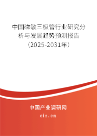 中國磁敏三極管行業研究分析與發展趨勢預測報告(2025-2031年) 中國磁敏三極管行業研究分析與發展趨勢預測報告(2025-2031年)