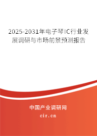 2025-2031年電子琴IC行業(yè)發(fā)展調(diào)研與市場前景預測報告 2025-2031年電子琴IC行業(yè)發(fā)展調(diào)研與市場前景預測報告