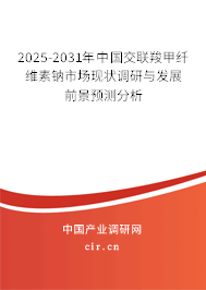 2025-2031年中國交聯羧甲纖維素鈉市場現狀調研與發展前景預測分析 2025-2031年中國交聯羧甲纖維素鈉市場現狀調研與發展前景預測分析