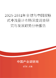 2025-2031年全球與中國雙脈式沖流量計市場深度調查研究與發展趨勢分析報告 2025-2031年全球與中國雙脈式沖流量計市場深度調查研究與發展趨勢分析報告