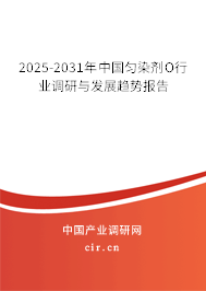 2025-2031年中國勻染劑O行業調研與發展趨勢報告 2025-2031年中國勻染劑O行業調研與發展趨勢報告