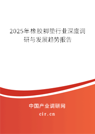 2025年橡膠腳墊行業(yè)深度調(diào)研與發(fā)展趨勢報告 2025年橡膠腳墊行業(yè)深度調(diào)研與發(fā)展趨勢報告