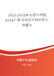 2025-2031年全球與中國pa11行業(yè)調(diào)研及市場前景分析報告 2025-2031年全球與中國pa11行業(yè)調(diào)研及市場前景分析報告