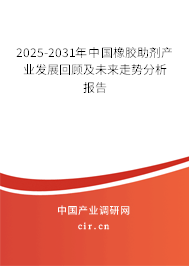 2025-2031年中國橡膠助劑產業發展回顧及未來走勢分析報告