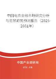 中國電商金融市場研究分析與前景趨勢預測報告(2025-2031年) 中國電商金融市場研究分析與前景趨勢預測報告(2025-2031年)