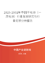 2025-2031年中國干電池（一次電池）行業發展研究與行業前景分析報告