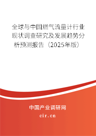 全球與中國燃氣流量計行業現狀調查研究及發展趨勢分析預測報告(2025年版) 全球與中國燃氣流量計行業現狀調查研究及發展趨勢分析預測報告(2025年版)