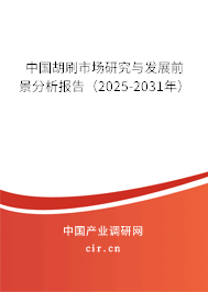 中國胡刷市場研究與發展前景分析報告(2025-2031年) 中國胡刷市場研究與發展前景分析報告(2025-2031年)