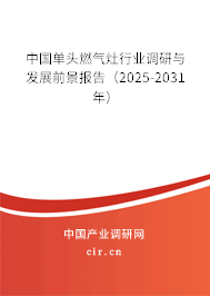 中國單頭燃氣灶行業調研與發展前景報告(2025-2031年) 中國單頭燃氣灶行業調研與發展前景報告(2025-2031年)