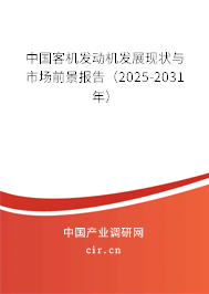 中國客機發(fā)動機發(fā)展現狀與市場前景報告(2025-2031年) 中國客機發(fā)動機發(fā)展現狀與市場前景報告(2025-2031年)