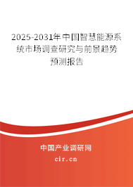 2025-2031年中國智慧能源系統市場調查研究與前景趨勢預測報告