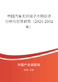 中國汽車無焊端子市場現狀分析與前景趨勢(2025-2031年) 中國汽車無焊端子市場現狀分析與前景趨勢(2025-2031年)
