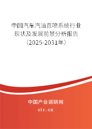 中國汽車汽油直噴系統行業現狀及發展前景分析報告(2025-2031年) 中國汽車汽油直噴系統行業現狀及發展前景分析報告(2025-2031年)
