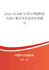 2025-2031年全球與中國智能電表行業現狀及發展前景報告