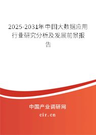 2025-2031年中國大數據應用行業研究分析及發展前景報告