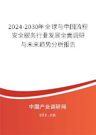 2024-2030年全球與中國流程安全服務行業發展全面調研與未來趨勢分析報告 2024-2030年全球與中國流程安全服務行業發展全面調研與未來趨勢分析報告