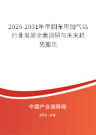 2025-2031年中國(guó)車用加氣站行業(yè)發(fā)展全面調(diào)研與未來(lái)趨勢(shì)報(bào)告