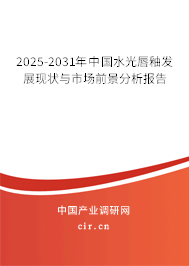 2025-2031年中國水光唇釉發展現狀與市場前景分析報告 2025-2031年中國水光唇釉發展現狀與市場前景分析報告
