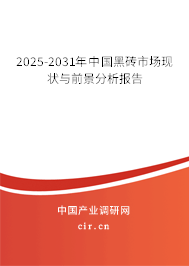 2025-2031年中國(guó)黑磚市場(chǎng)現(xiàn)狀與前景分析報(bào)告