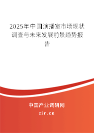 2025年中國演播室市場現(xiàn)狀調查與未來發(fā)展前景趨勢報告