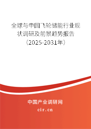 全球與中國飛輪儲能行業現狀調研及前景趨勢報告(2025-2031年) 全球與中國飛輪儲能行業現狀調研及前景趨勢報告(2025-2031年)