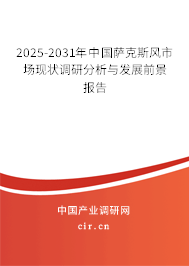2025-2031年中國薩克斯風市場現狀調研分析與發展前景報告