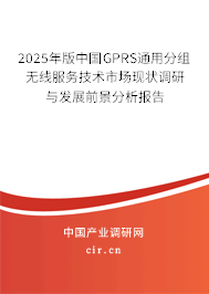 2025年版中國GPRS通用分組無線服務技術市場現狀調研與發展前景分析報告
