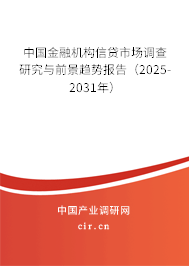 中國金融機構信貸市場調查研究與前景趨勢報告（2025-2031年）
