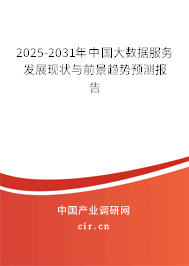 2025-2031年中國大數(shù)據(jù)服務(wù)發(fā)展現(xiàn)狀與前景趨勢預(yù)測報告 2025-2031年中國大數(shù)據(jù)服務(wù)發(fā)展現(xiàn)狀與前景趨勢預(yù)測報告